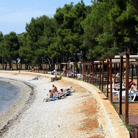 Novigrad 2536a *