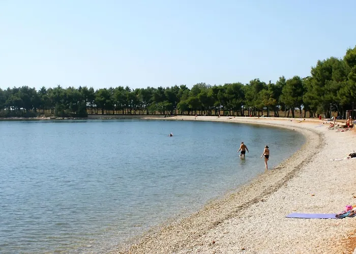 Novigrad 2536a *
