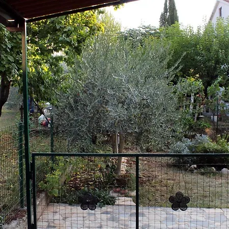 Apartment Novigrad 2536a
