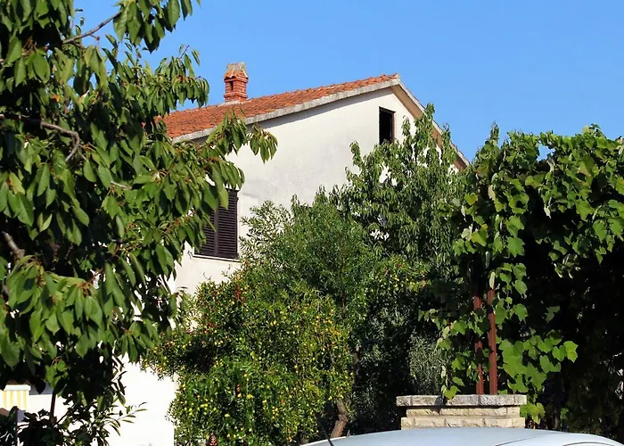 Novigrad 2536a Διαμέρισμα *